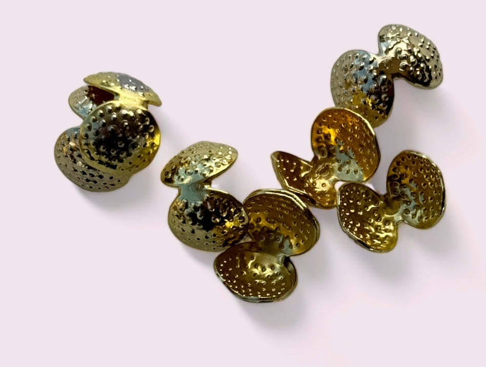 Conchiglie chiudi cordone